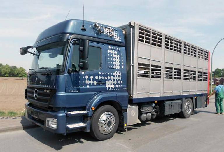 Доставка быков недорого из Борзи в Хабаровск