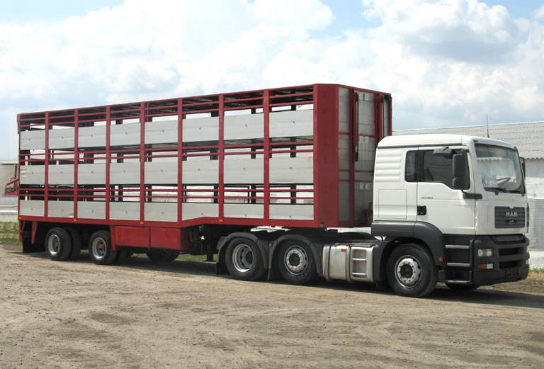 Заказать скотовоз для крупного рогатого скота из Алтайского край. в Новосибирскую обл.